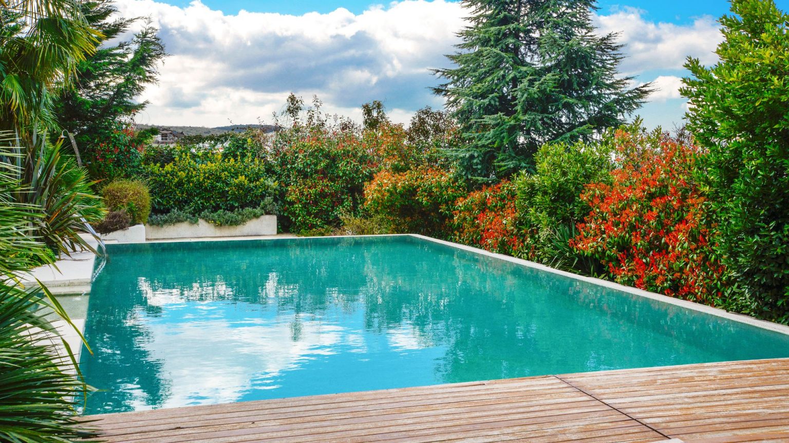 jardin avec piscine