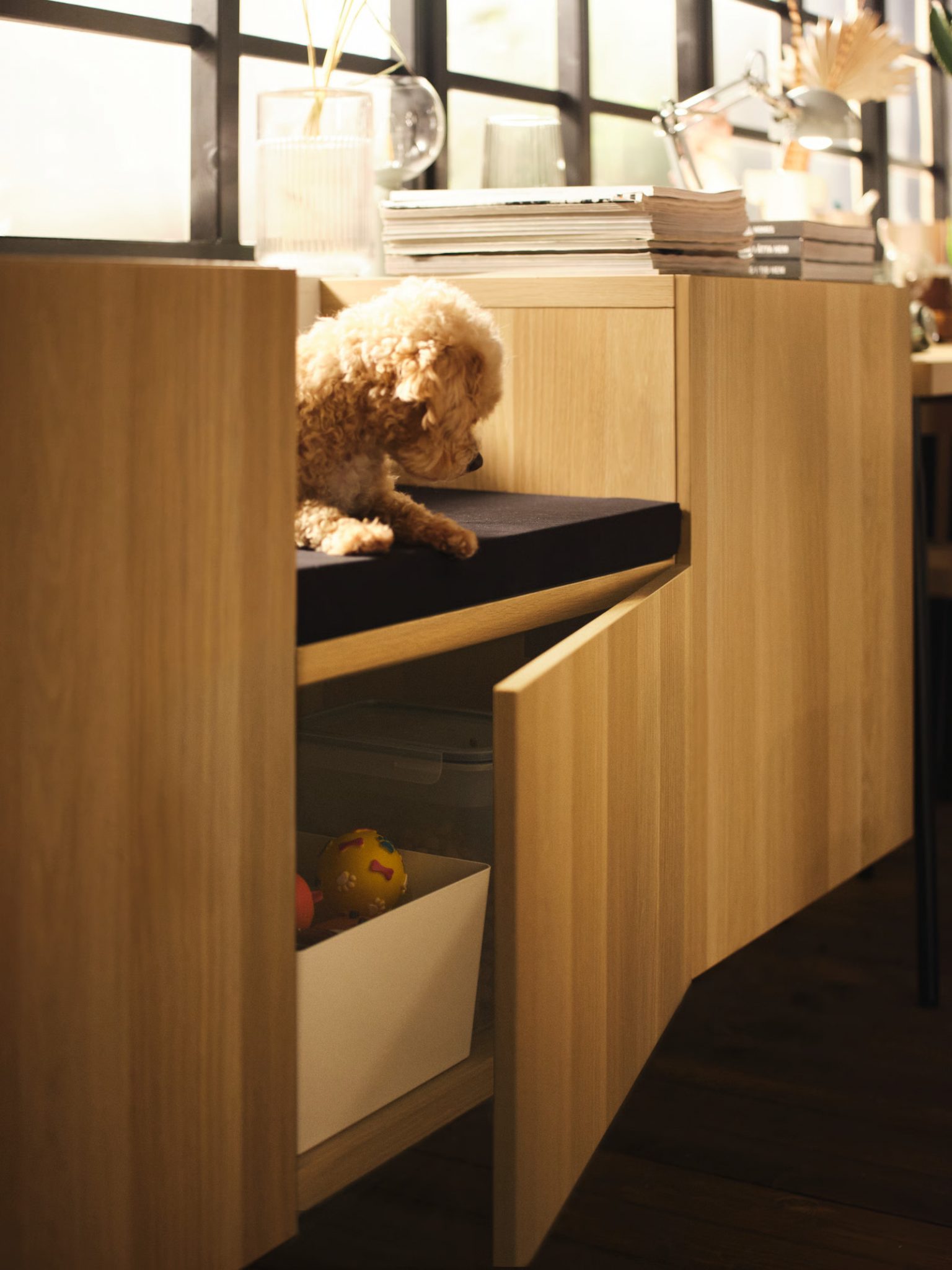 salon avec mobilier IKEA