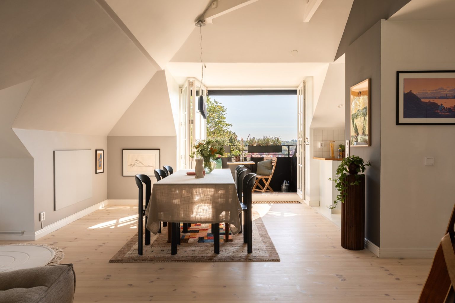 salle à manger et salon décoration scandinave et design