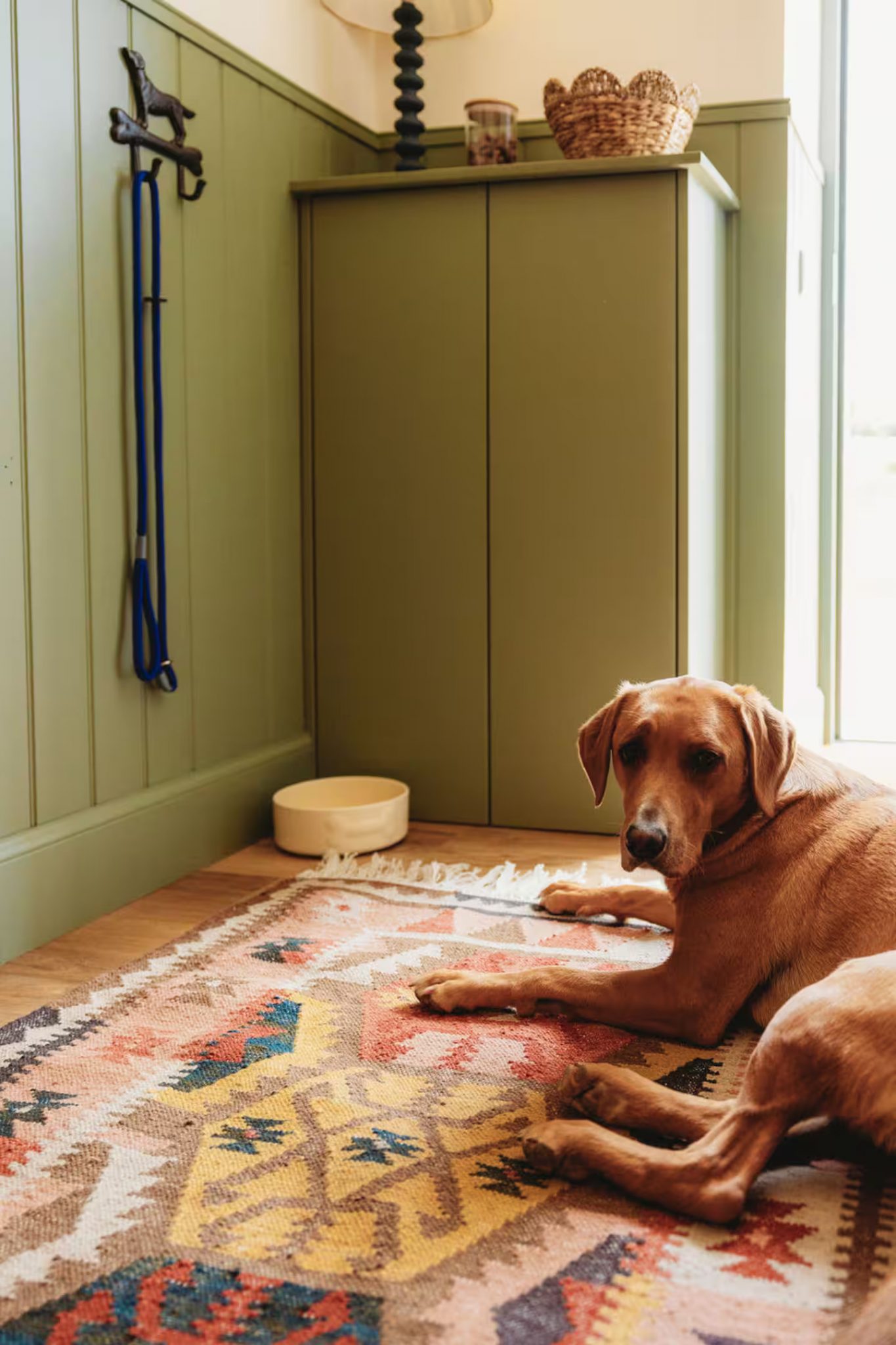 entrée avec chien murs verts et blancs tapis kilim maison Écosse décoration colorée
