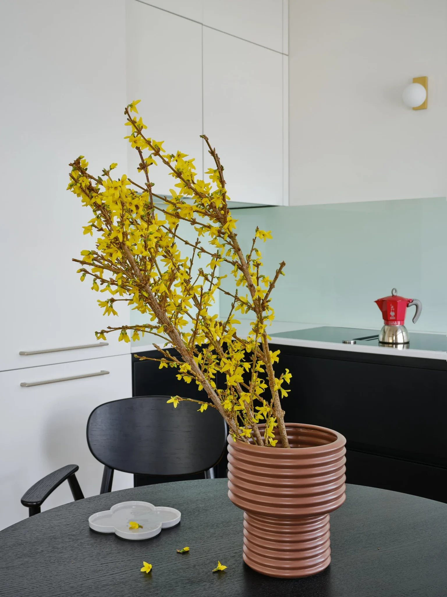 cuisine décoration contemporaine petit trois-pièces de 55m2