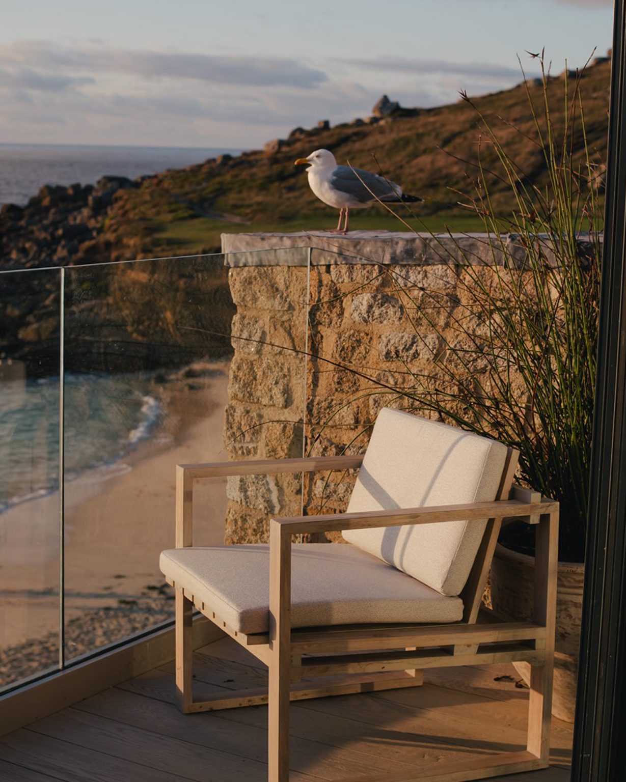 terrasse vue mer avec mouette