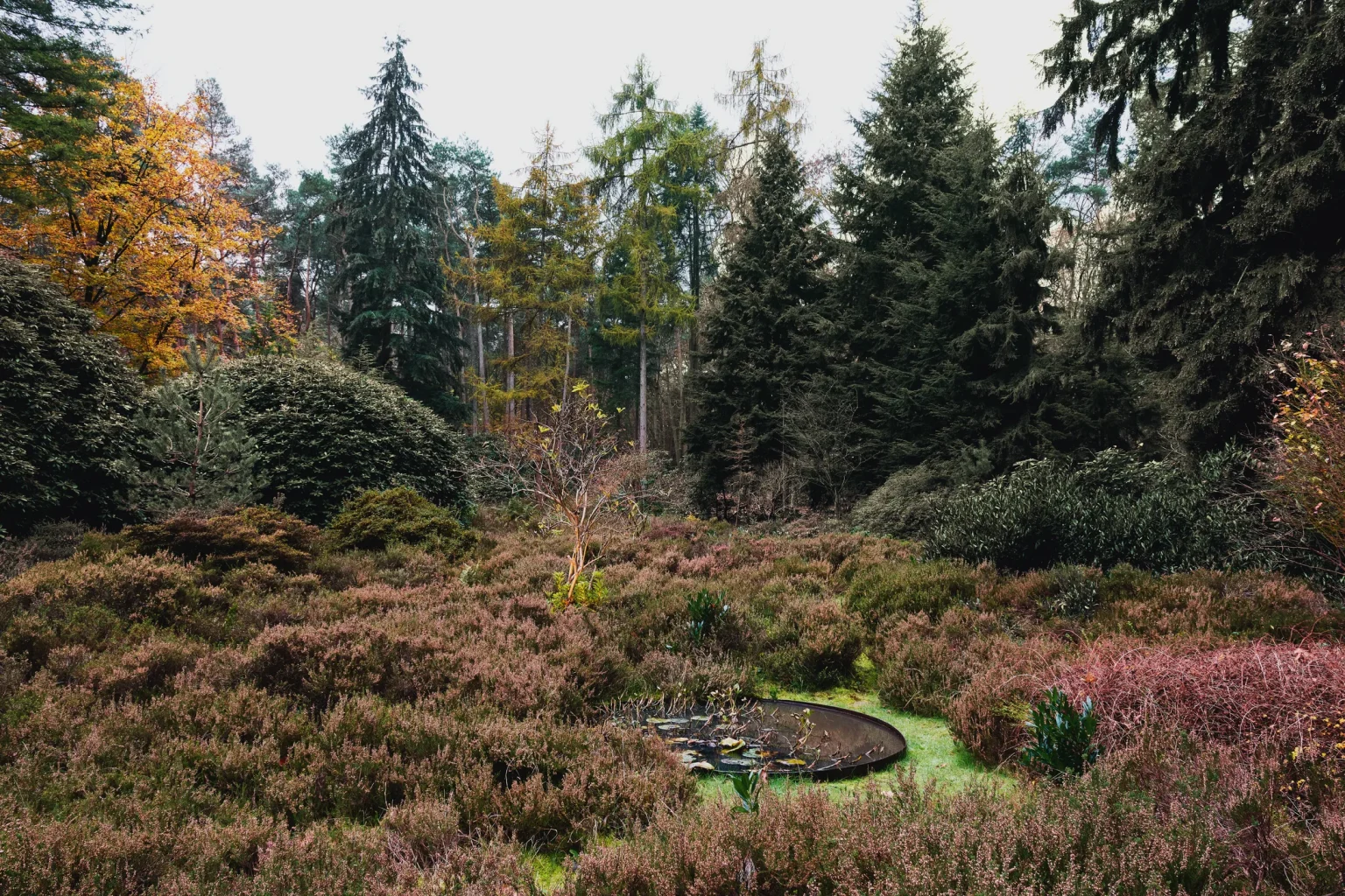 jardin paysagé