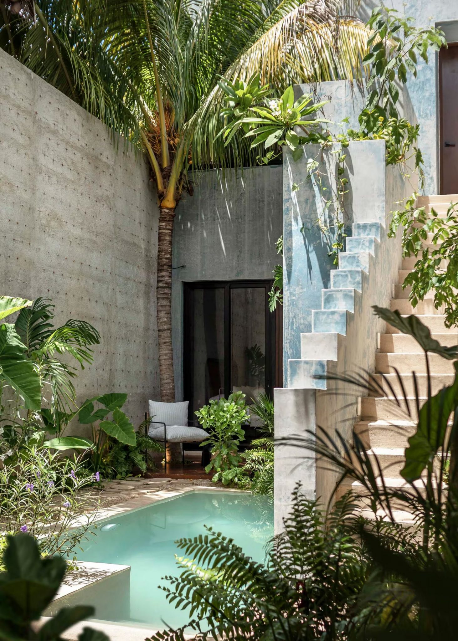 petit jardin de ville en longueur maison Merida avec piscine