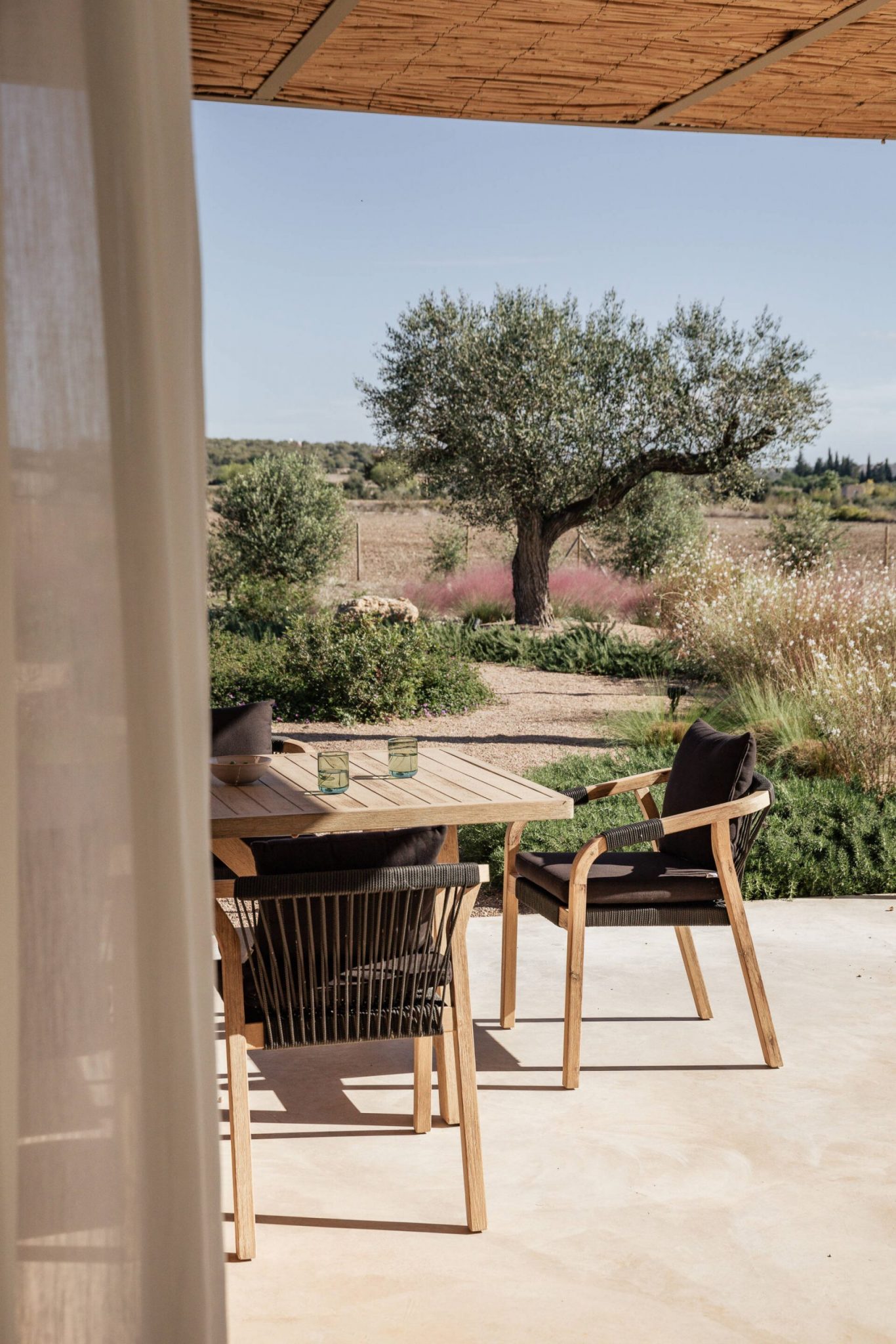 terrasse dans jardin avec olivier maison contemporaine en pierres Majorque