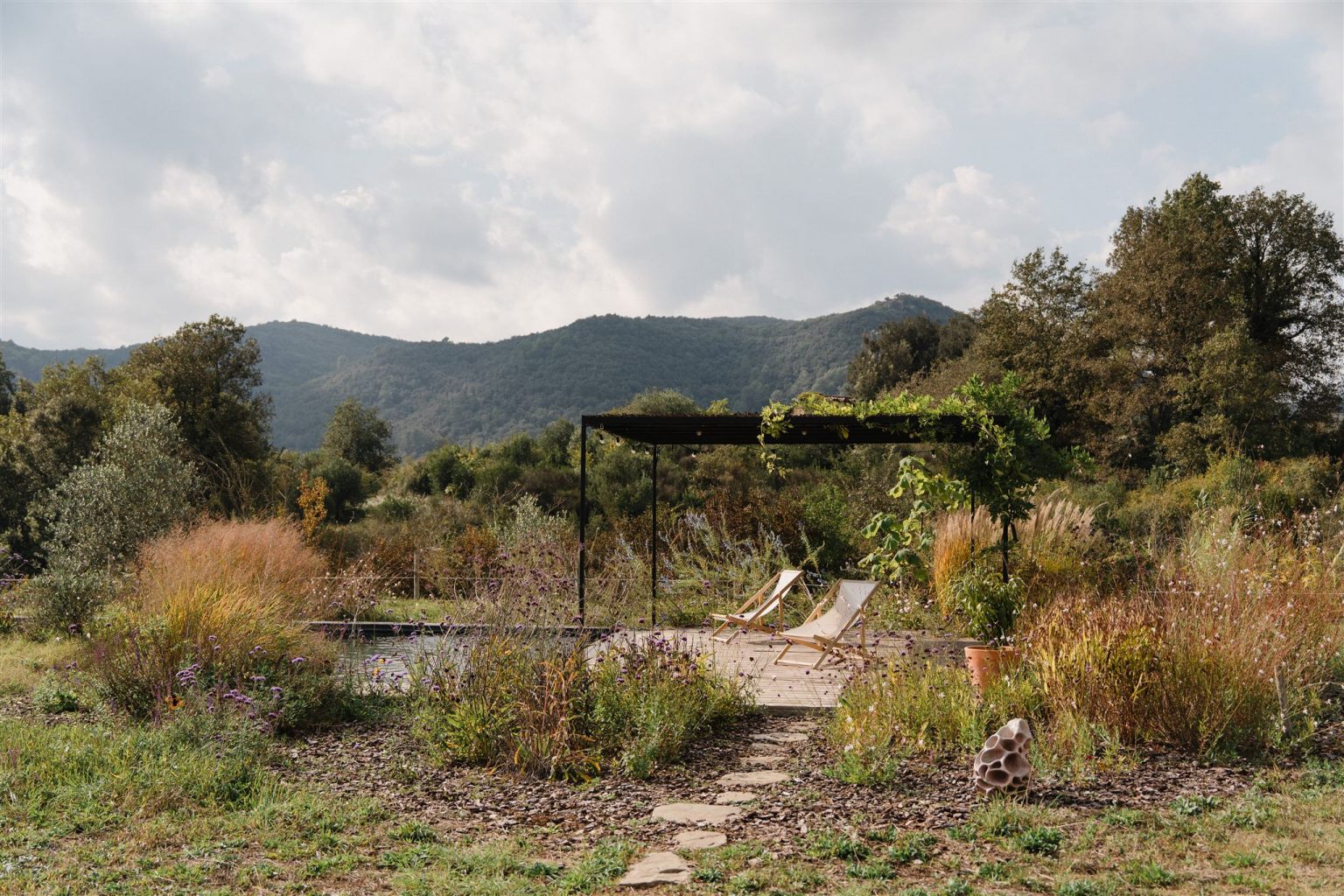piscine avec pergola entourée de verdure