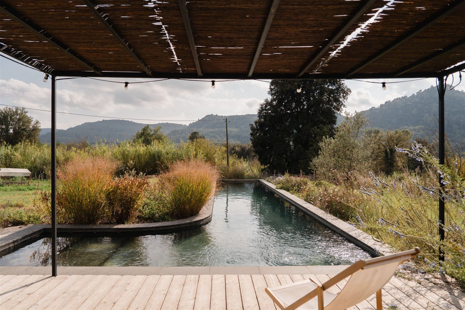 piscine avec pergola entourée de verdure
