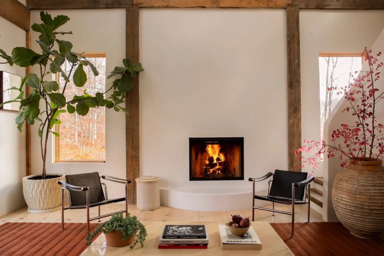 salon avec cheminée décoration contemporaine maison en bois dans la vallée de l'Hudson 