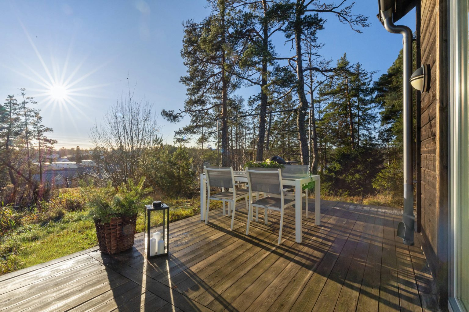 terrasse mini maison moderne en bois 22m2