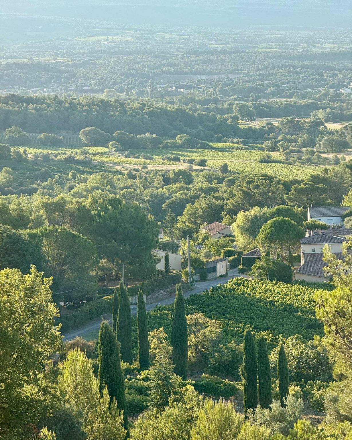 paysage méditerranéen 