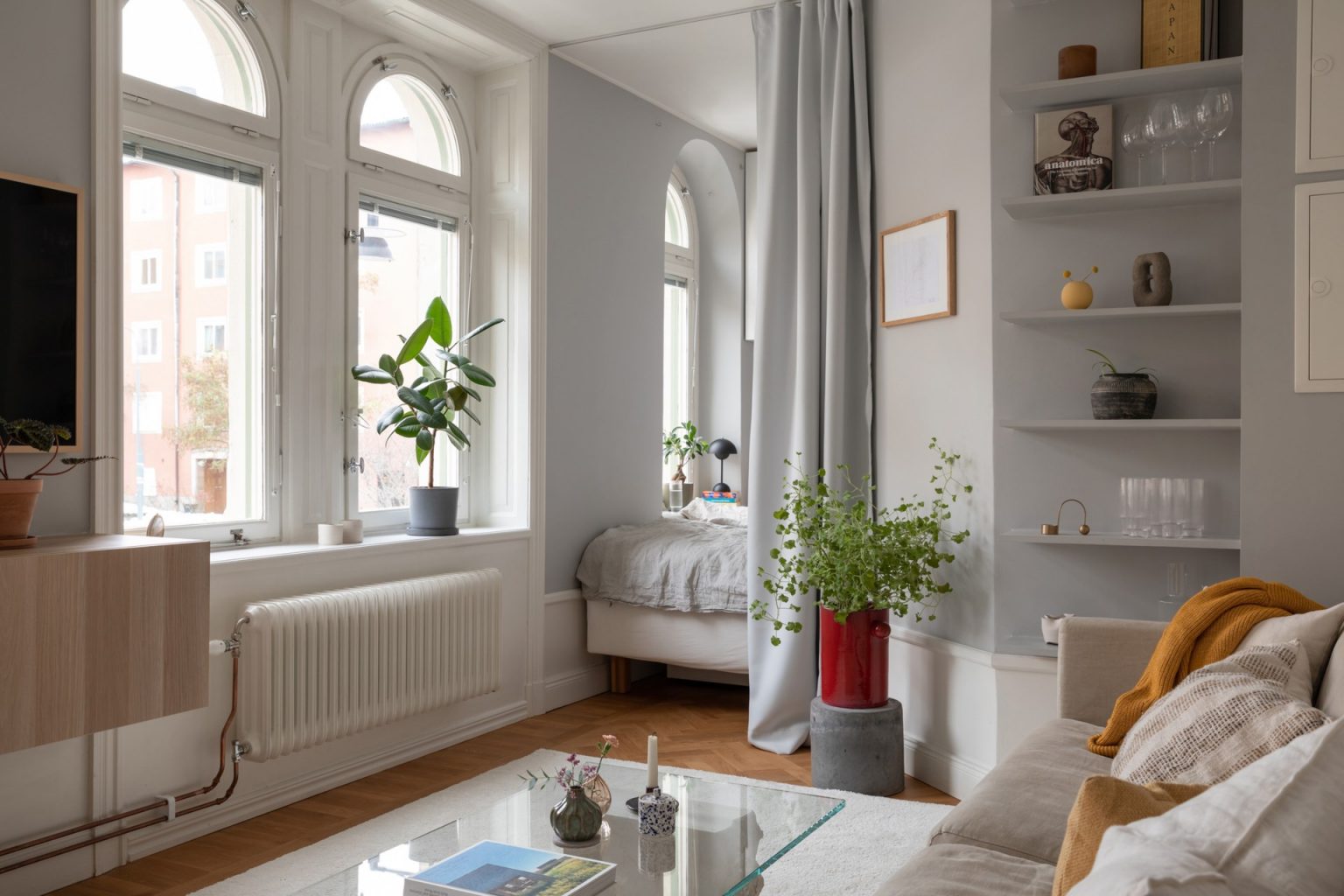 salon et chambre fenêtres cintrées murs gris studio 34m2 dans immeuble ancien décoration scandinave