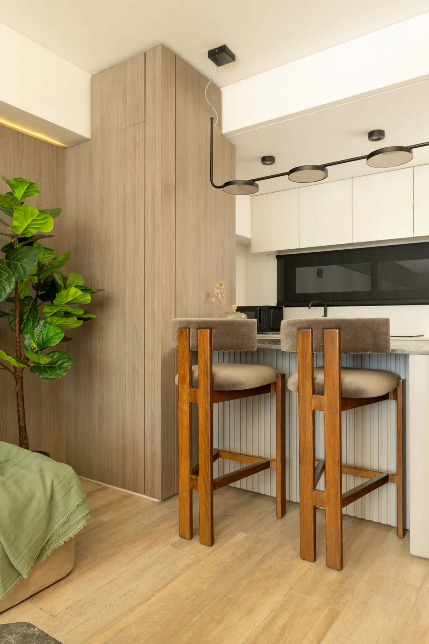 salon avec cuisine ouverte avec bar studio 45m2