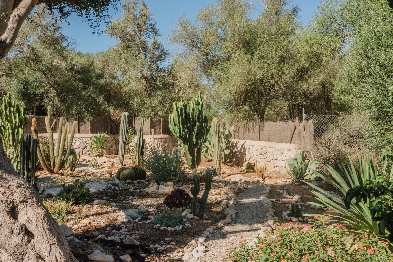 jardin sec