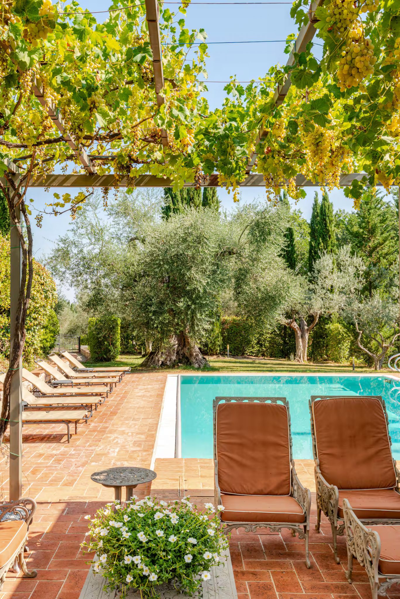 terrasse avec pergola métal et piscine