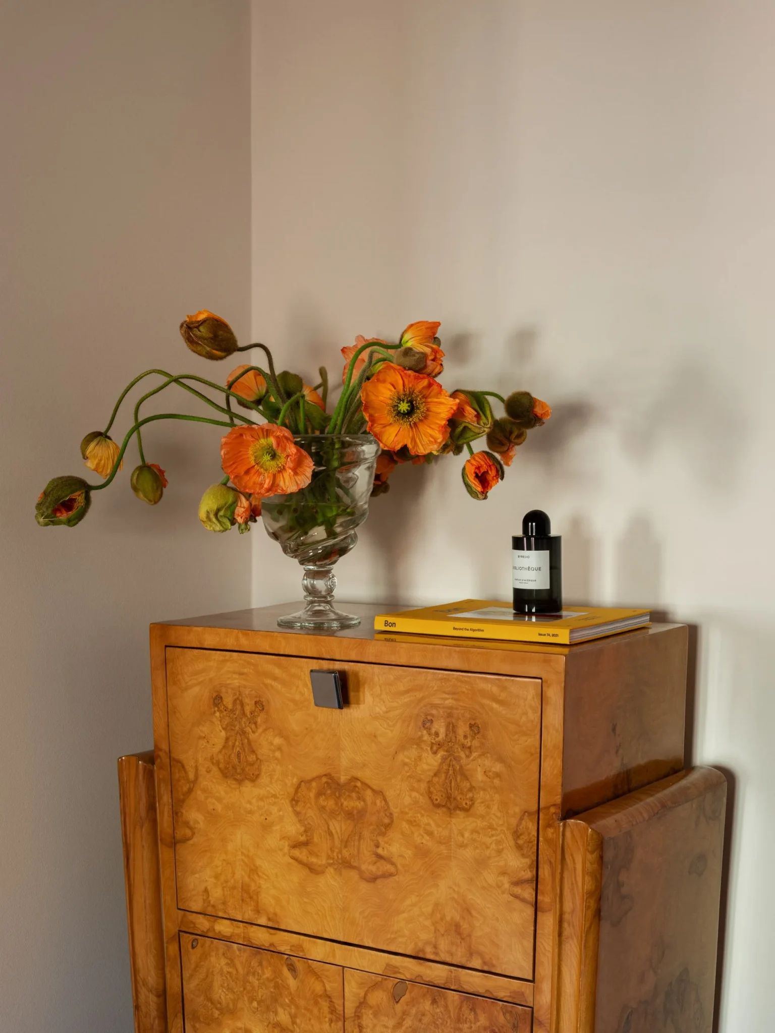 meuble ancien en loupe