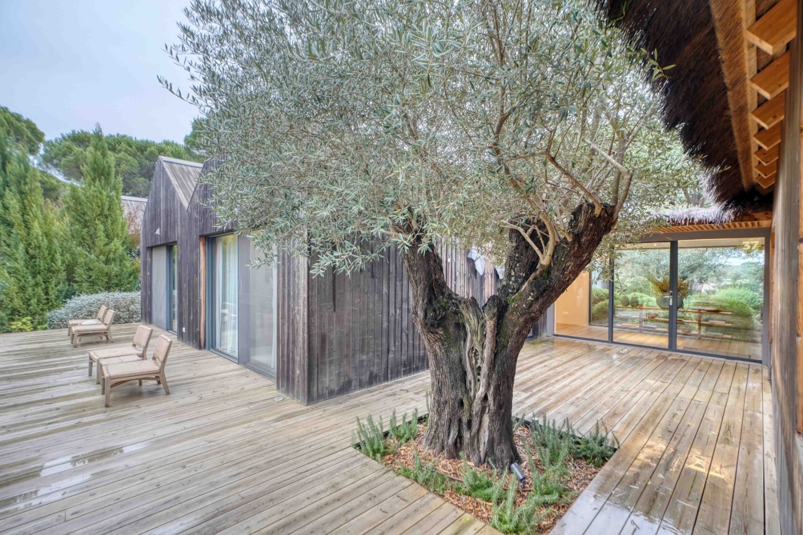 terrasse maison contemporaine avec piscine Comporta terrasse maison contemporaine avec piscine Comporta