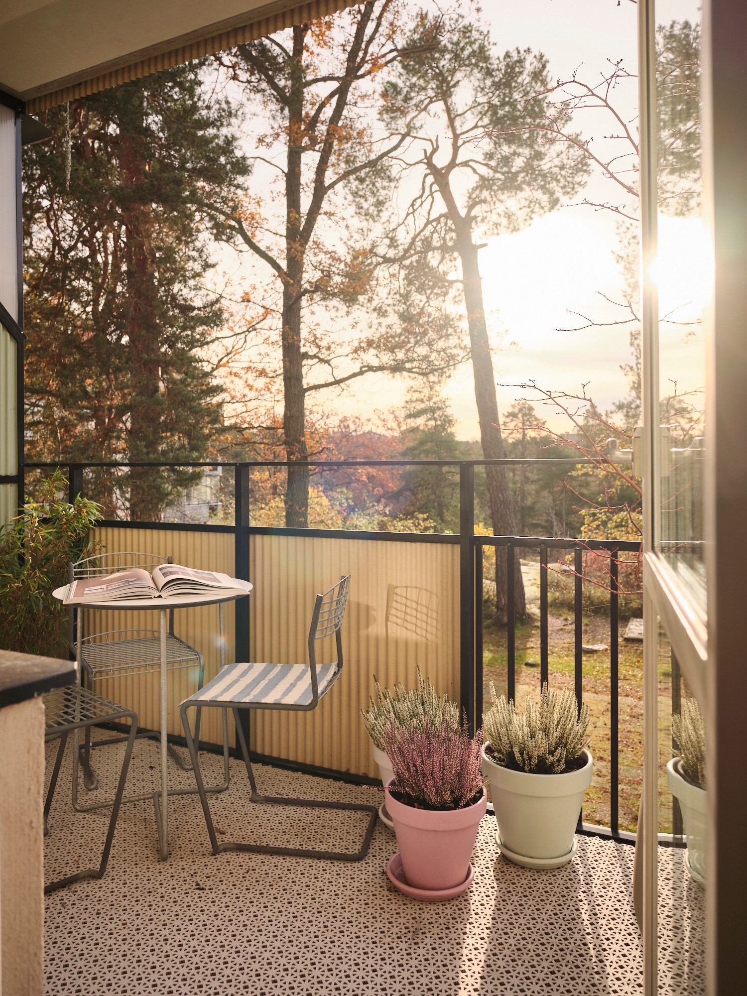 terrasse avec vue sur arbres et nature terrasse avec vue sur arbres et nature