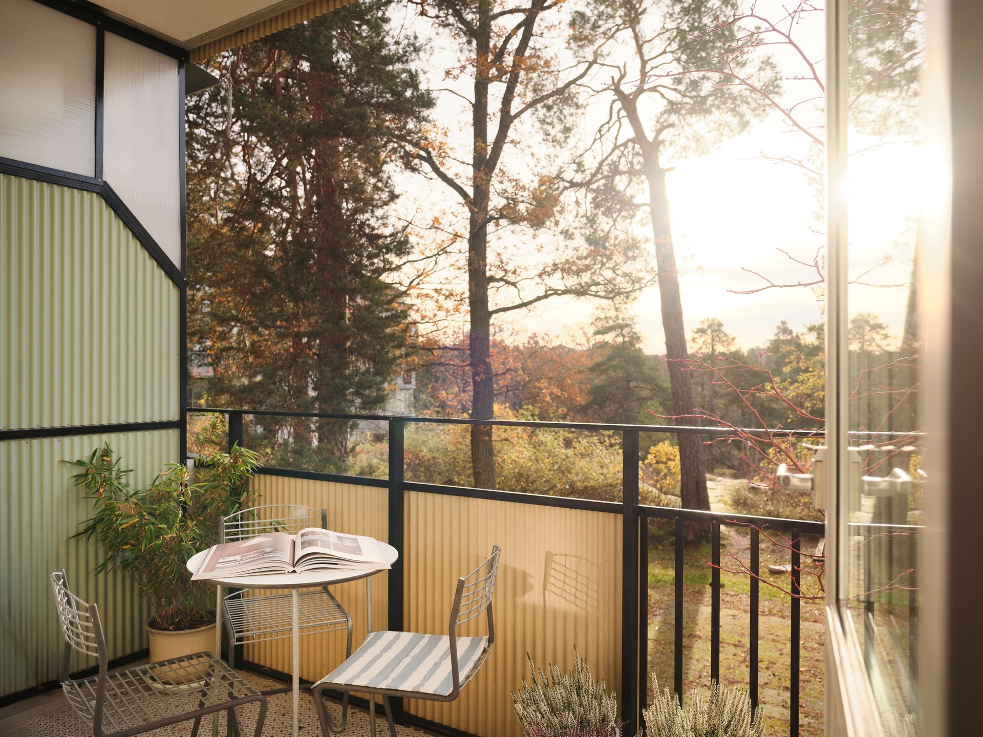 terrasse avec vue sur arbres et nature terrasse avec vue sur arbres et nature
