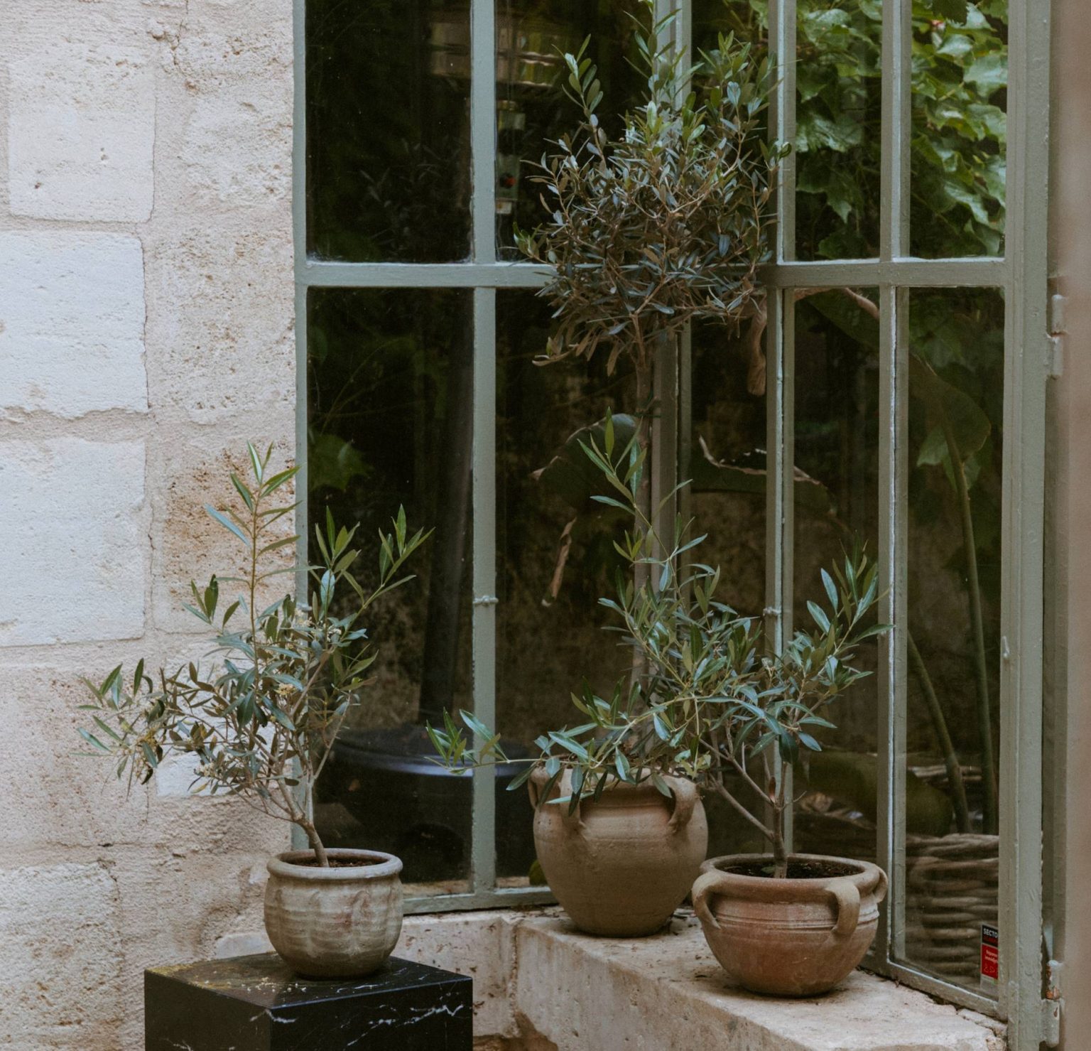 orangerie Maison Mandel Bordeaux