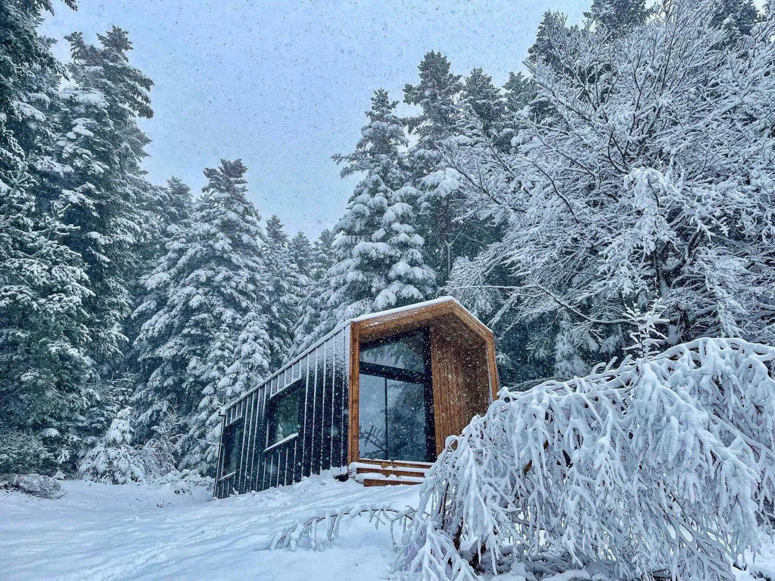 petite maison française 20m2 Studio Tilia par WoodVolum