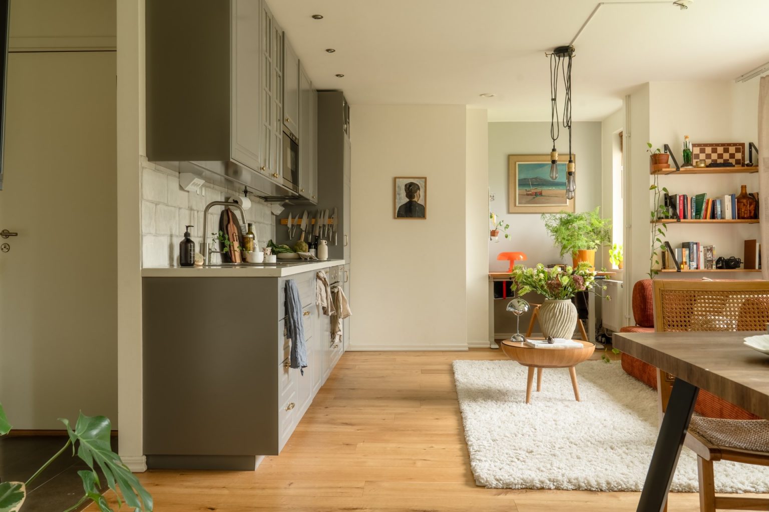 cuisine ouverte shaker grise salon et salle à manger décoration scandinave colorée deux-pièces 46m2