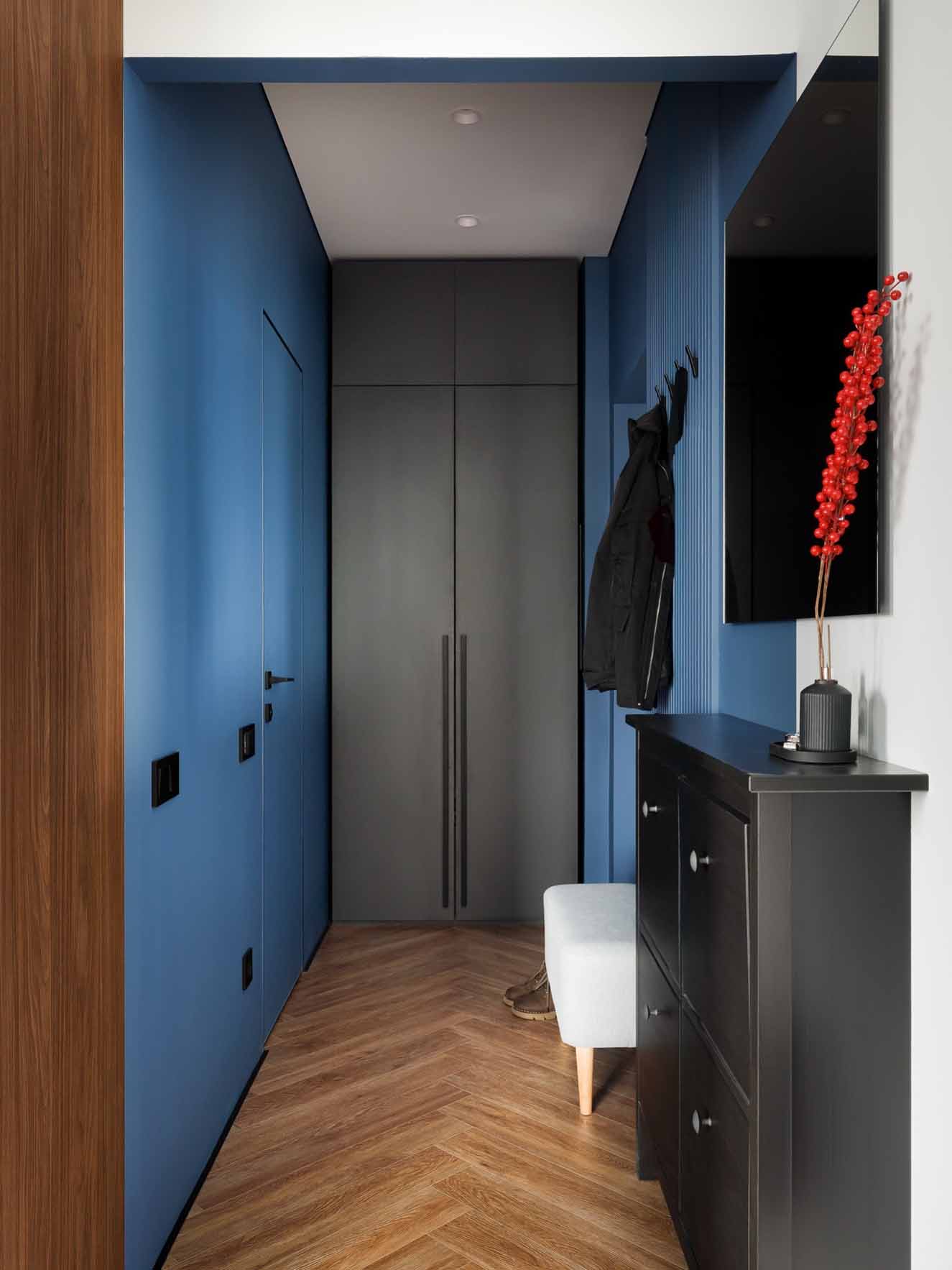 entrée bleue avec placard studio 27m2 entrée bleue avec placard studio 27m2