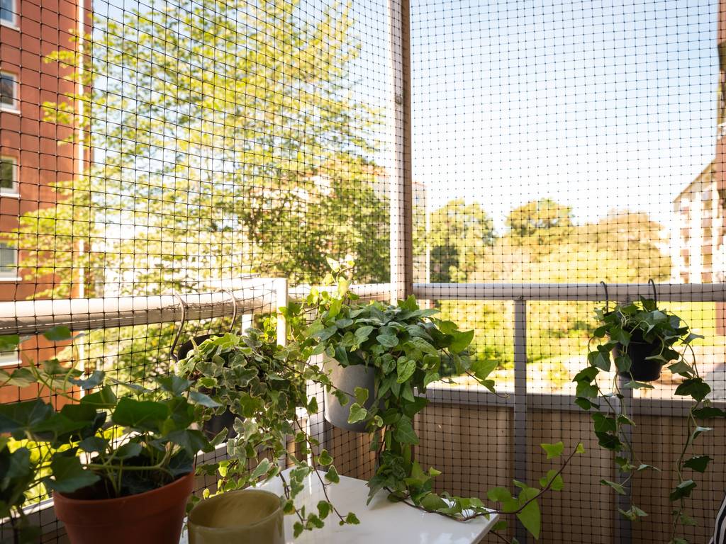balcon avec filet de protection pour chat balcon avec filet de protection pour chat