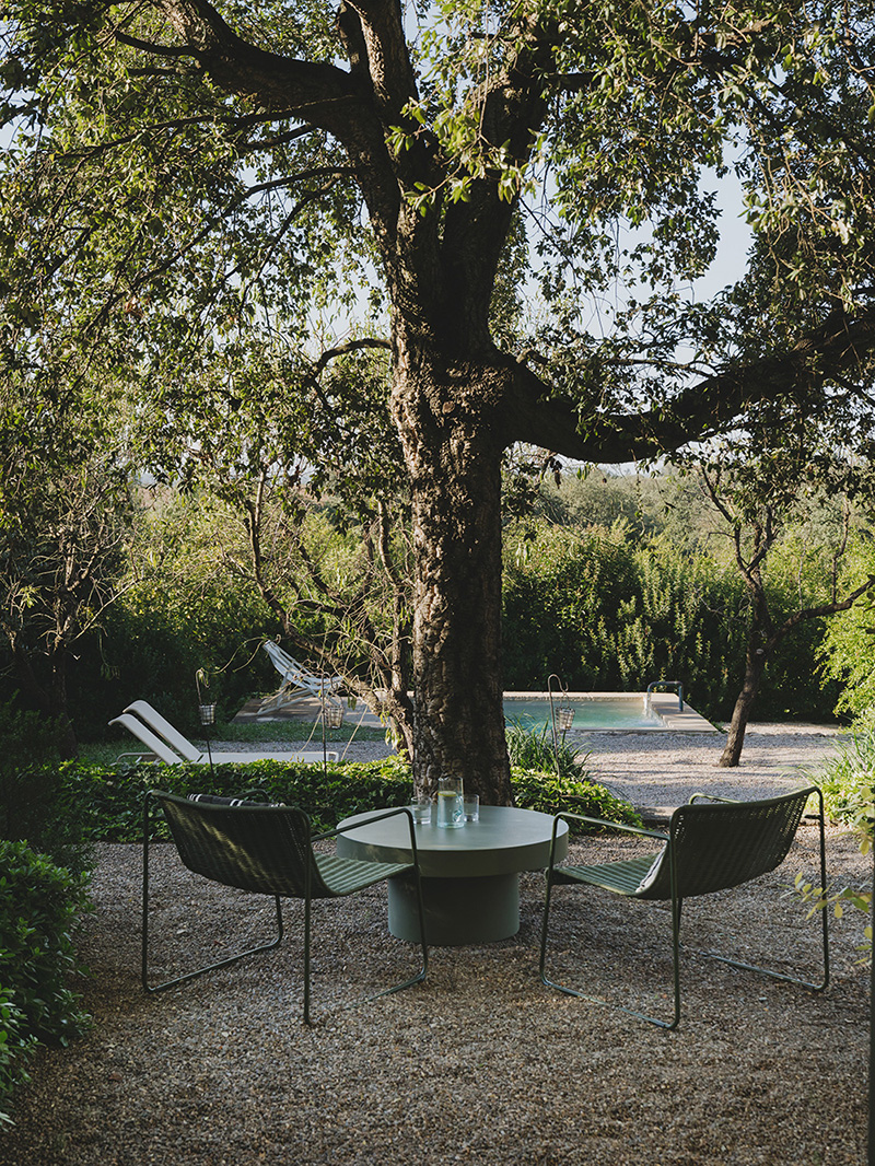 garden with pool