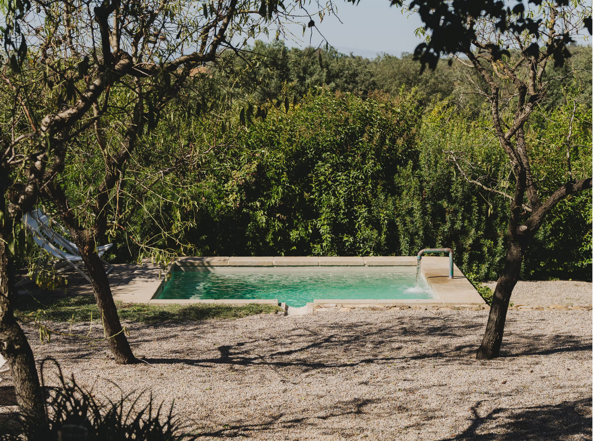garden with pool