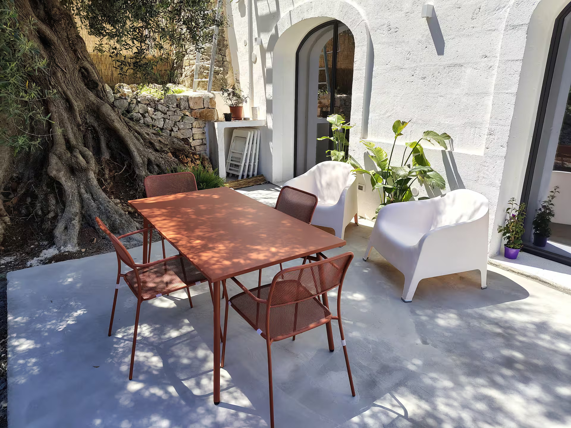terrace with olive tree Casa Lama Monopoli