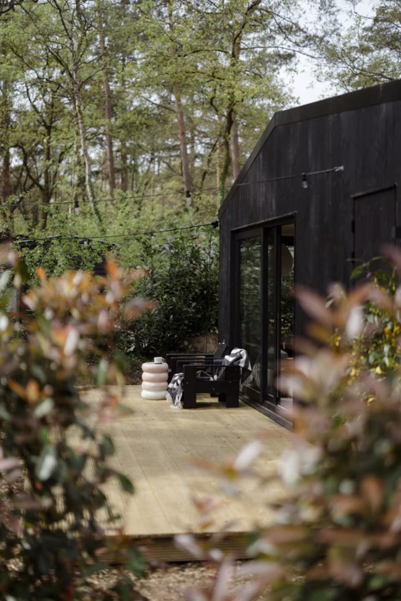 petite maison intérieur design avec terrasse bois entourée d petite maison intérieur design avec terrasse bois entourée d'arbres