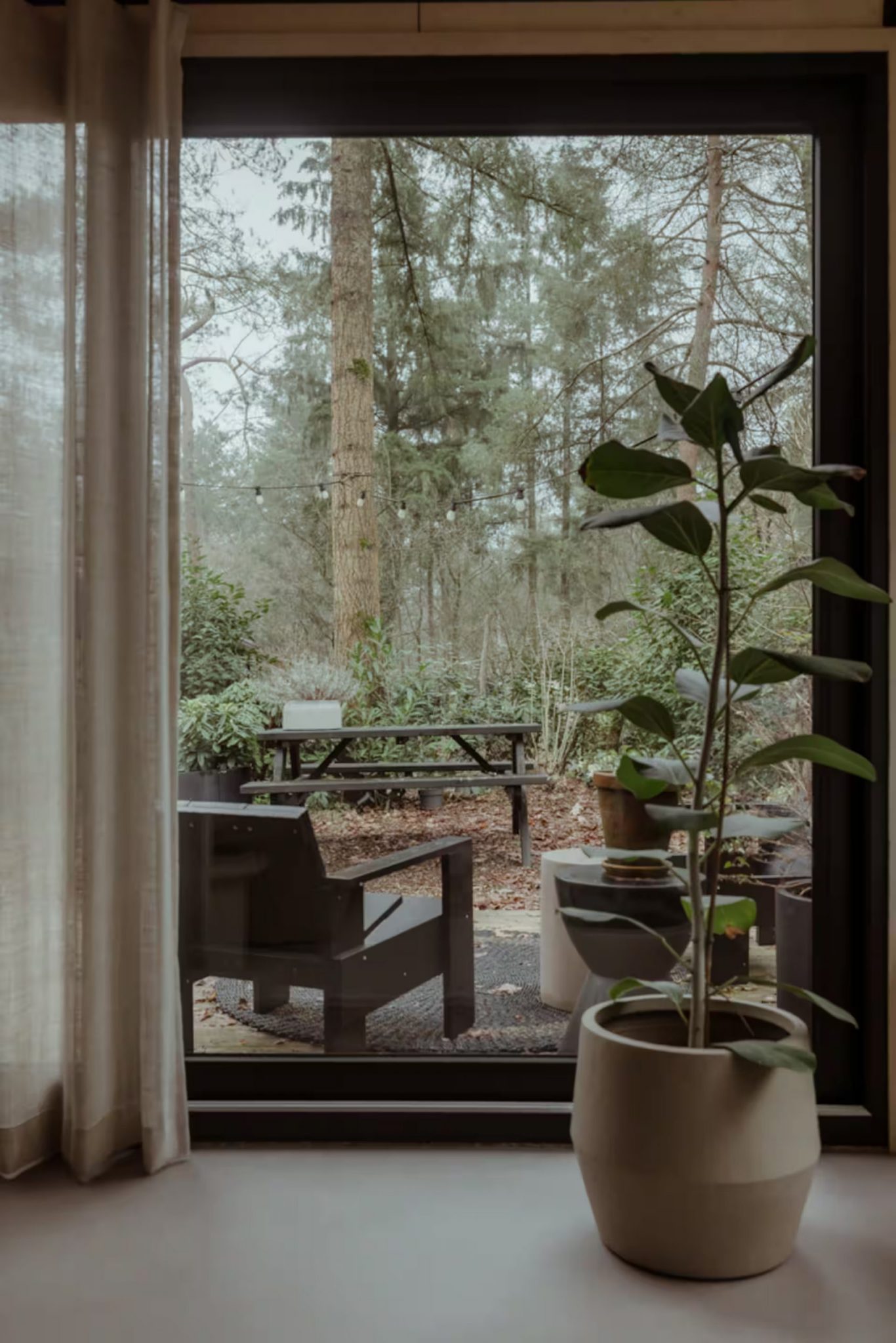 salon petite maison intérieur design avec terrasse bois entourée d salon petite maison intérieur design avec terrasse bois entourée d'arbres