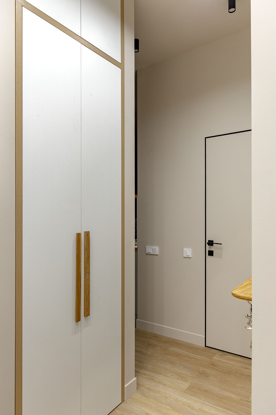 entrée avec placards décoration contemporaine appartement étudiant de 37m2 entrée avec placards décoration contemporaine appartement étudiant de 37m2