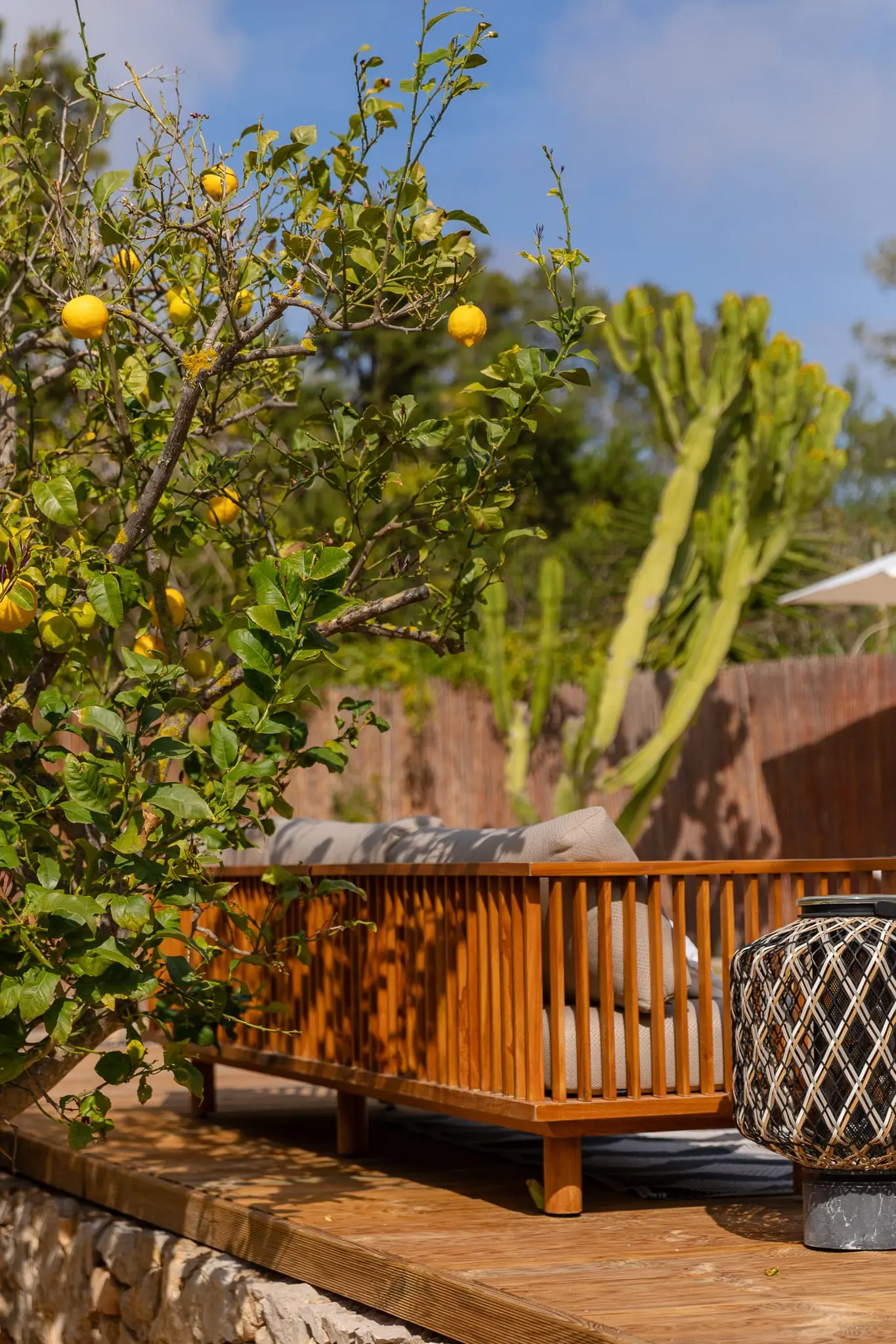 citronnier et terrasse bois