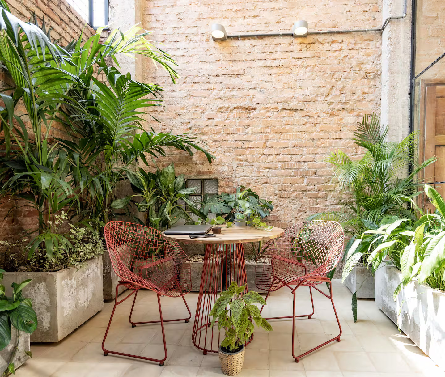 patio appartement au cœur de La Havane patio appartement au cœur de La Havane