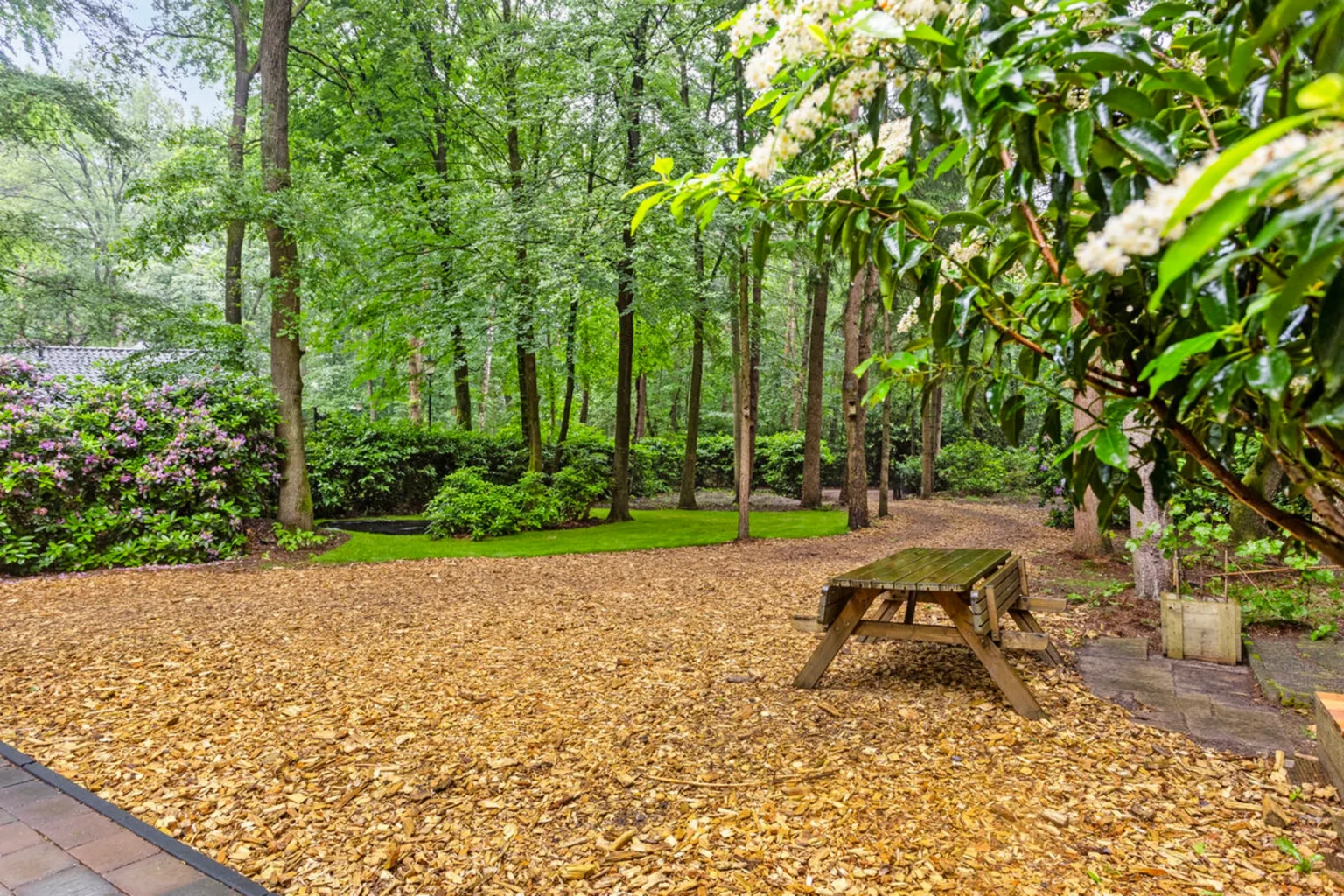 jardin maison en bois aux Pays-Bas dans la forêt