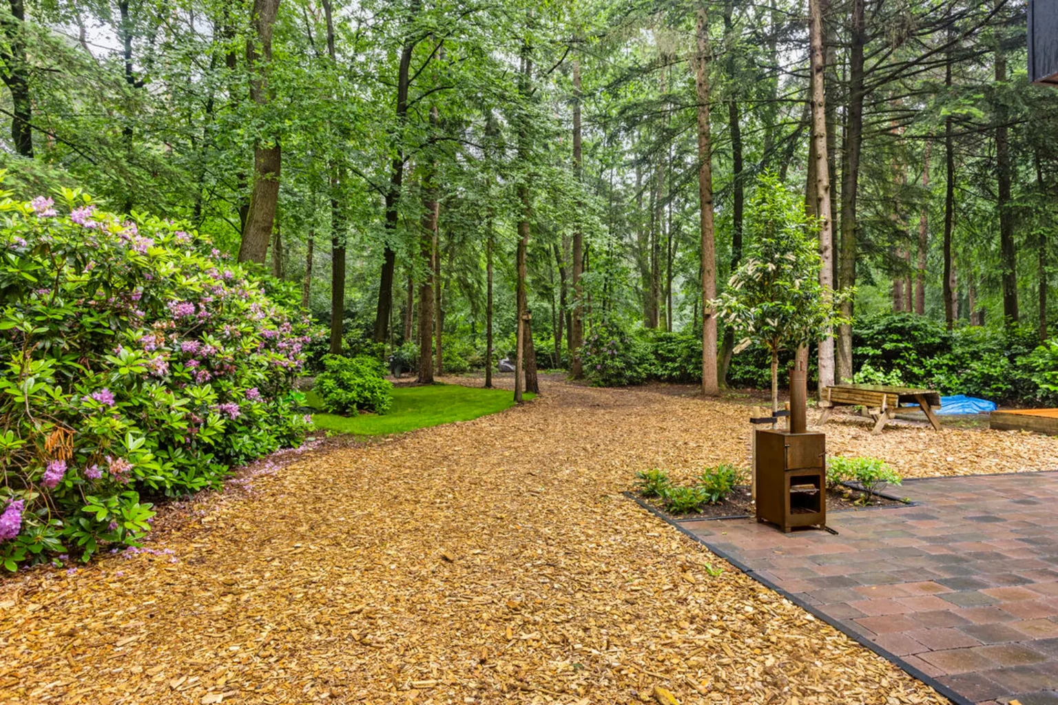 jardin maison en bois aux Pays-Bas dans la forêt