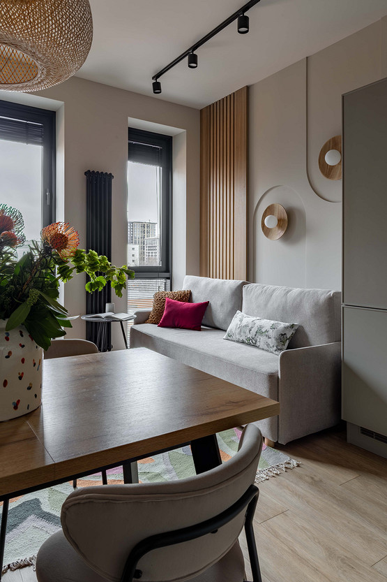living room 37sqm student apartment contemporary decor living room 37sqm student apartment contemporary decor