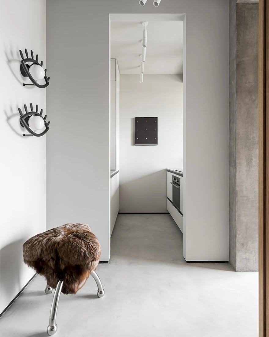 entrée et cuisine appartement design de 39m2 entrée et cuisine appartement design de 39m2