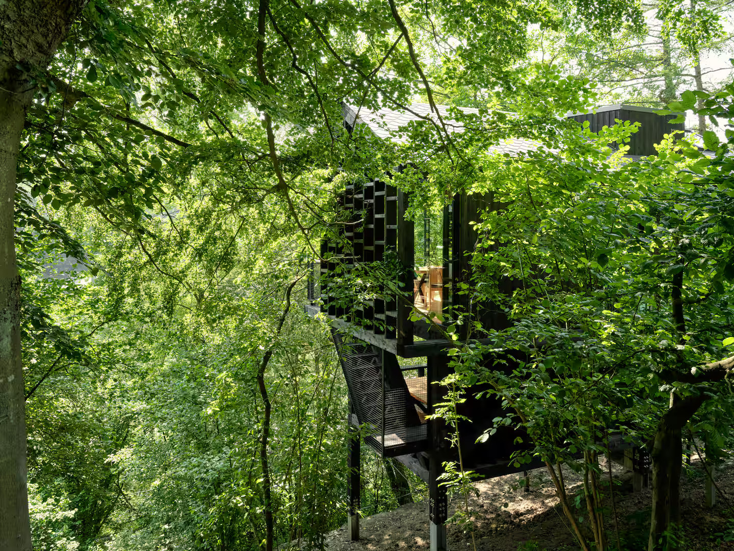 cabane en bois contemporaine dans la forêt des Ardennes Eagle par Hutstuf
