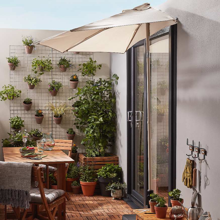 terrace with plants