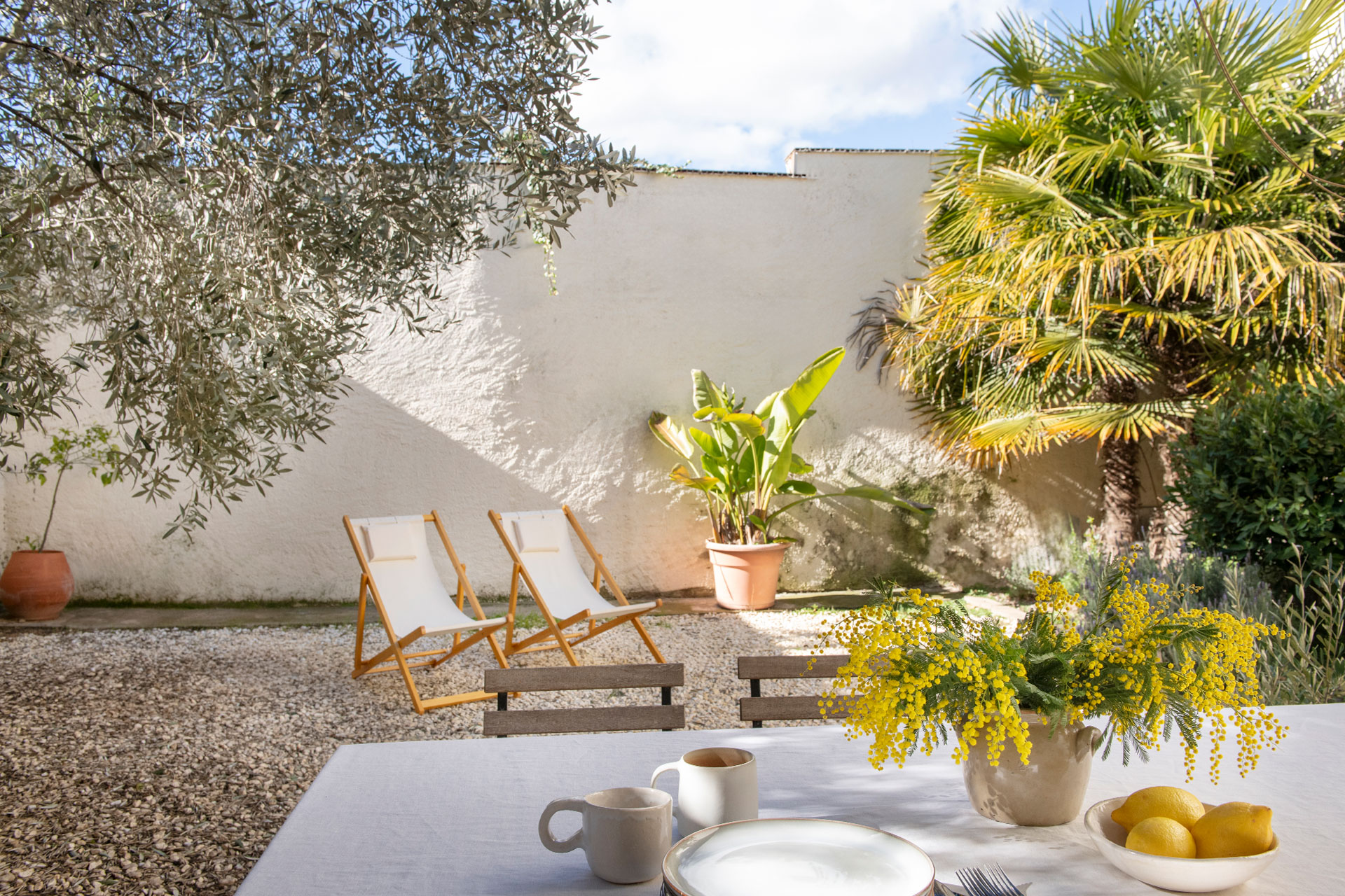 patio Casa Maltesa