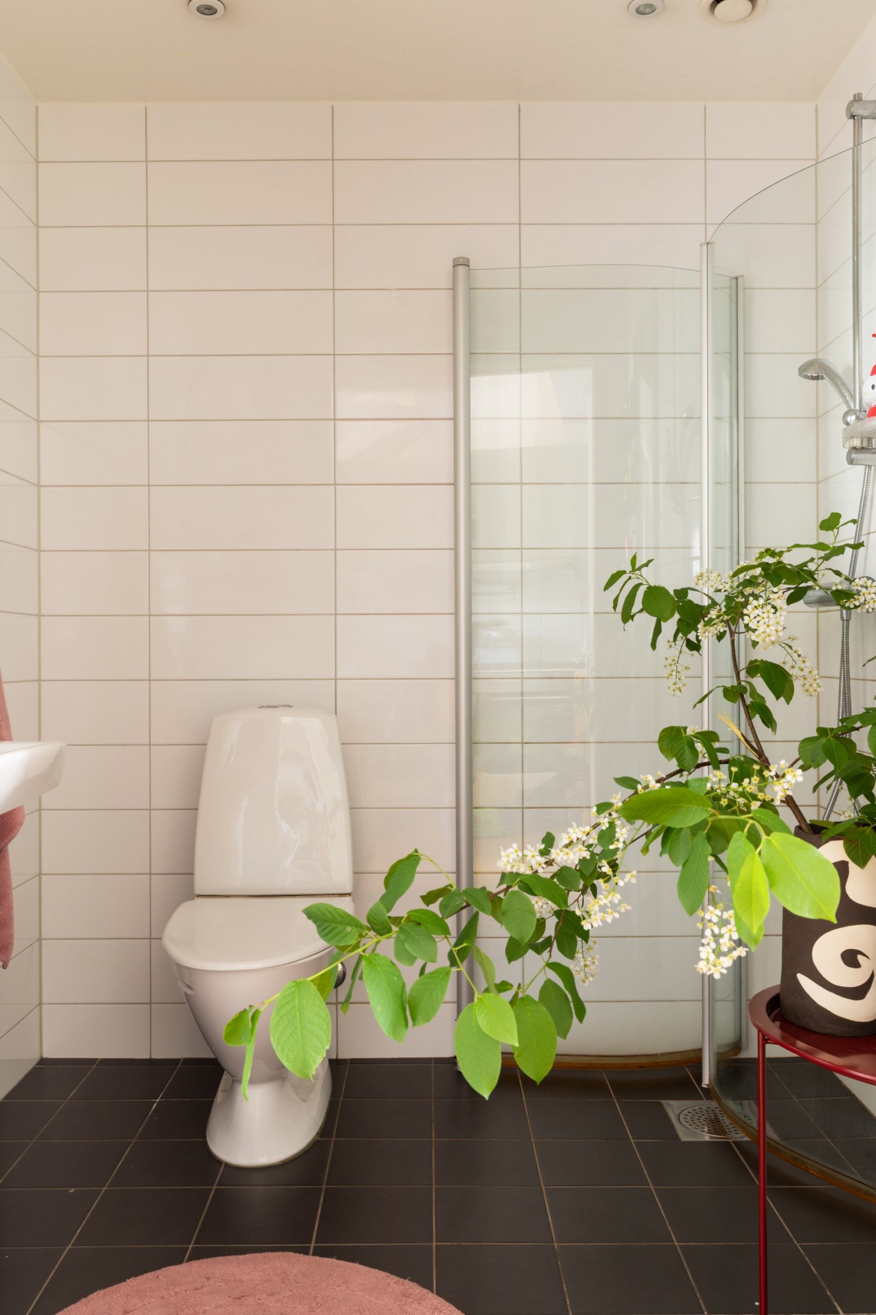 white bathroom white bathroom
