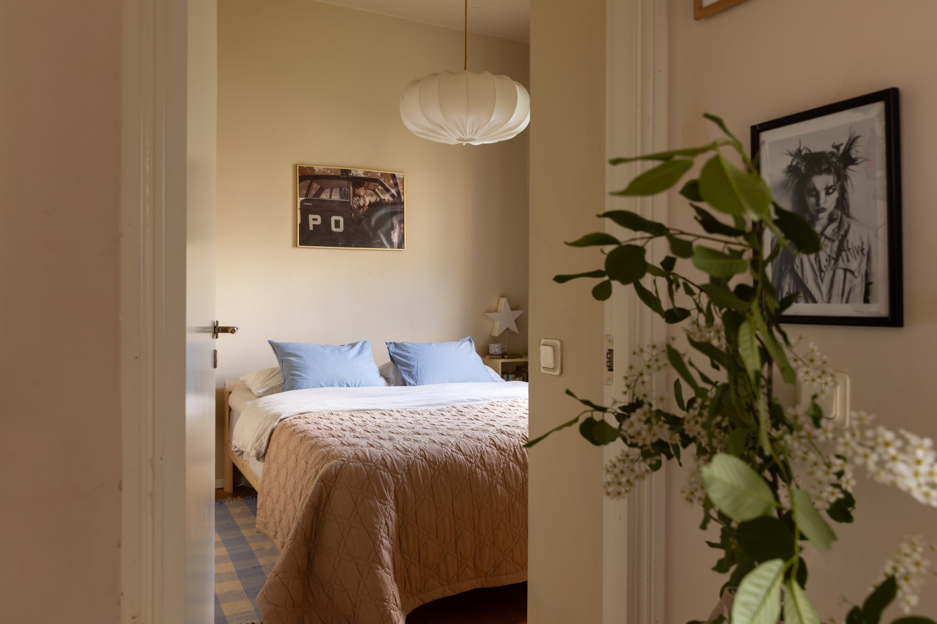 bedroom bedroom