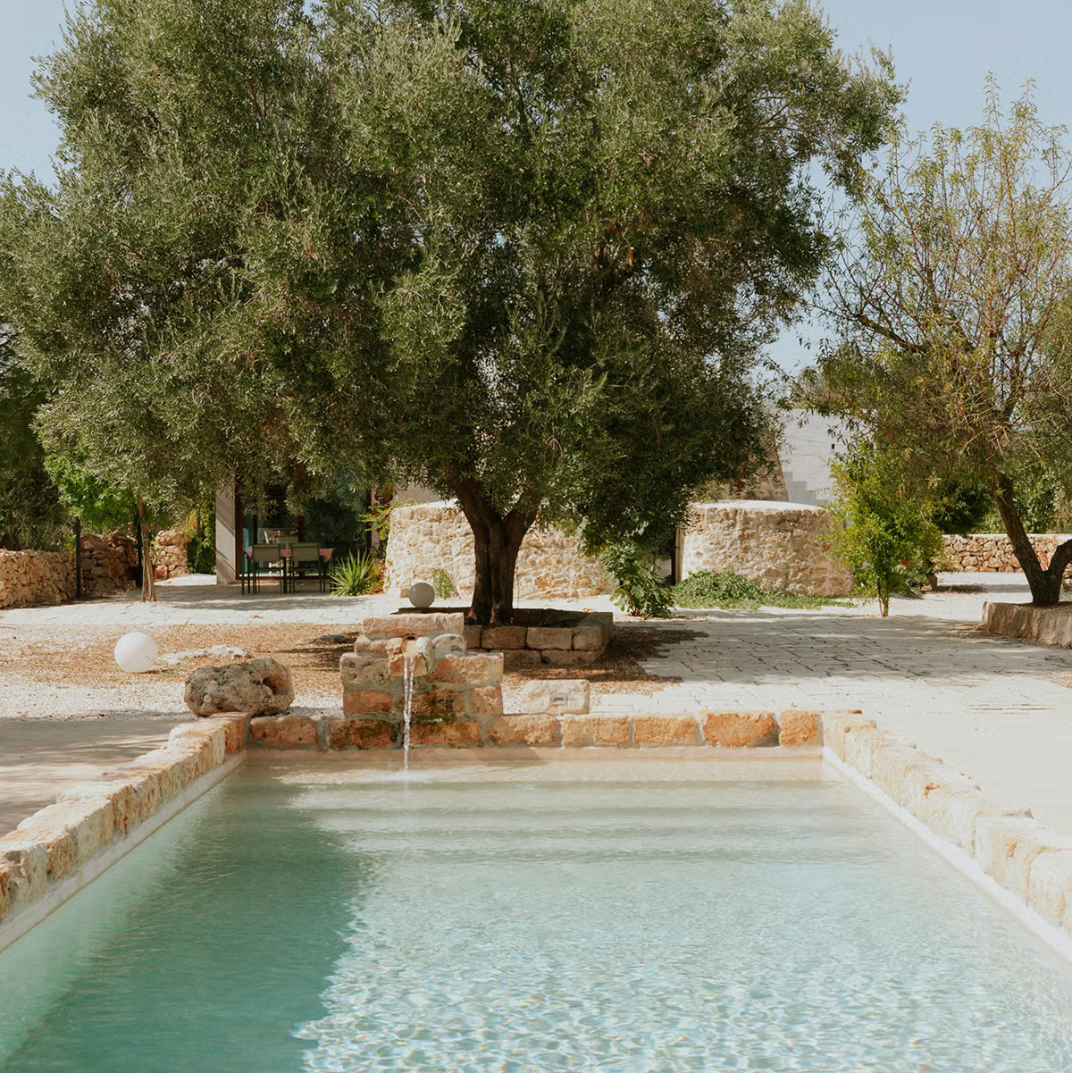 stone house with olive tree and pool in Puglia stone house with olive tree and pool in Puglia