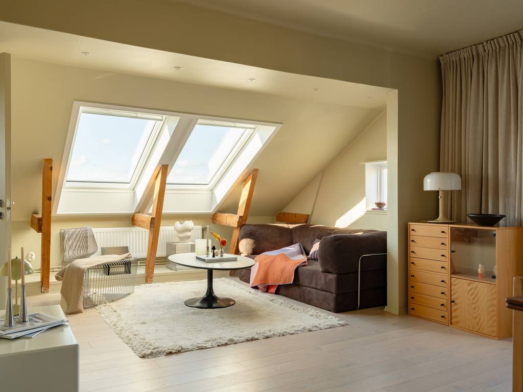 salon avec velux