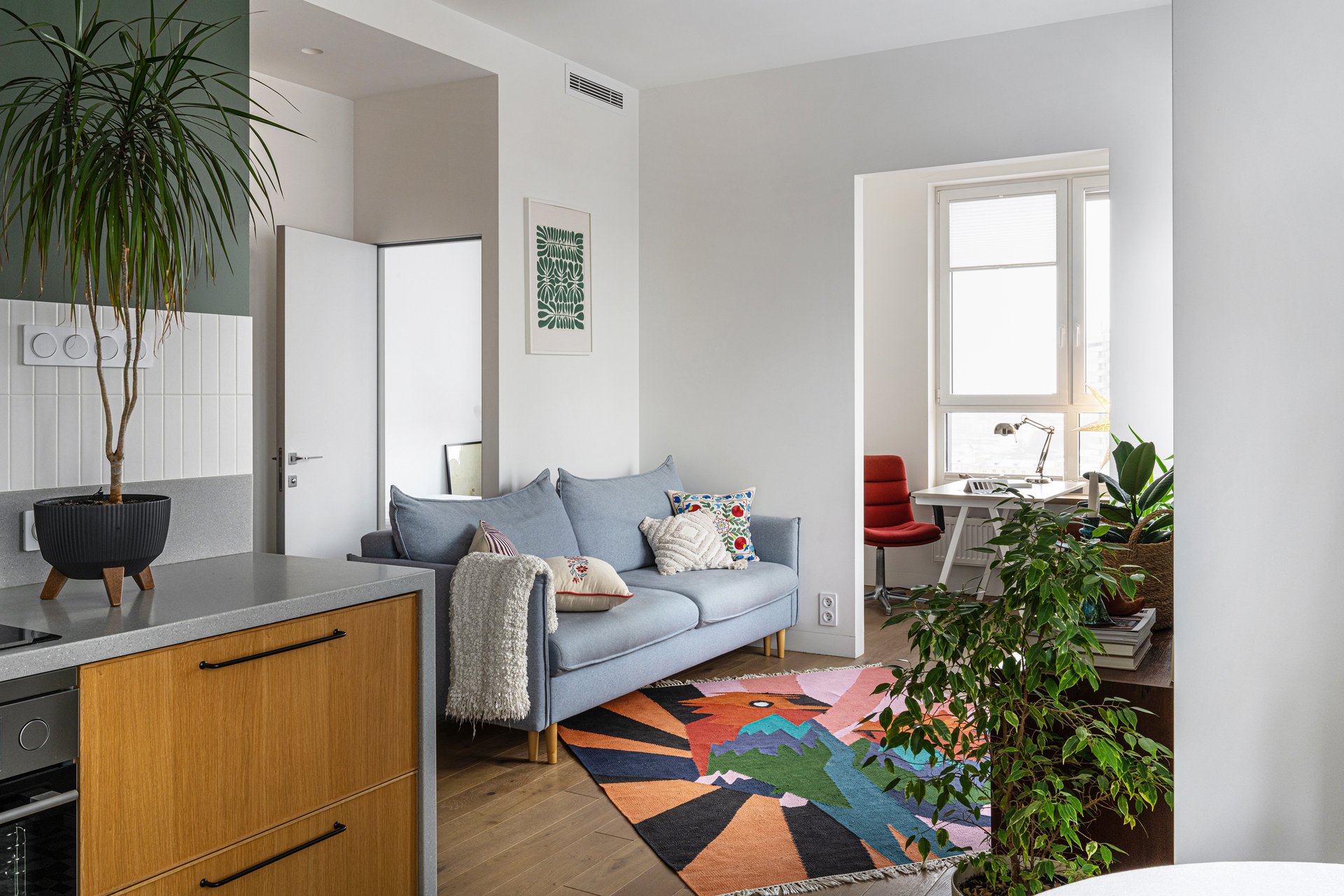 kitchen and living room with coloured rug contemporary decor 50sqm apartment of a designer