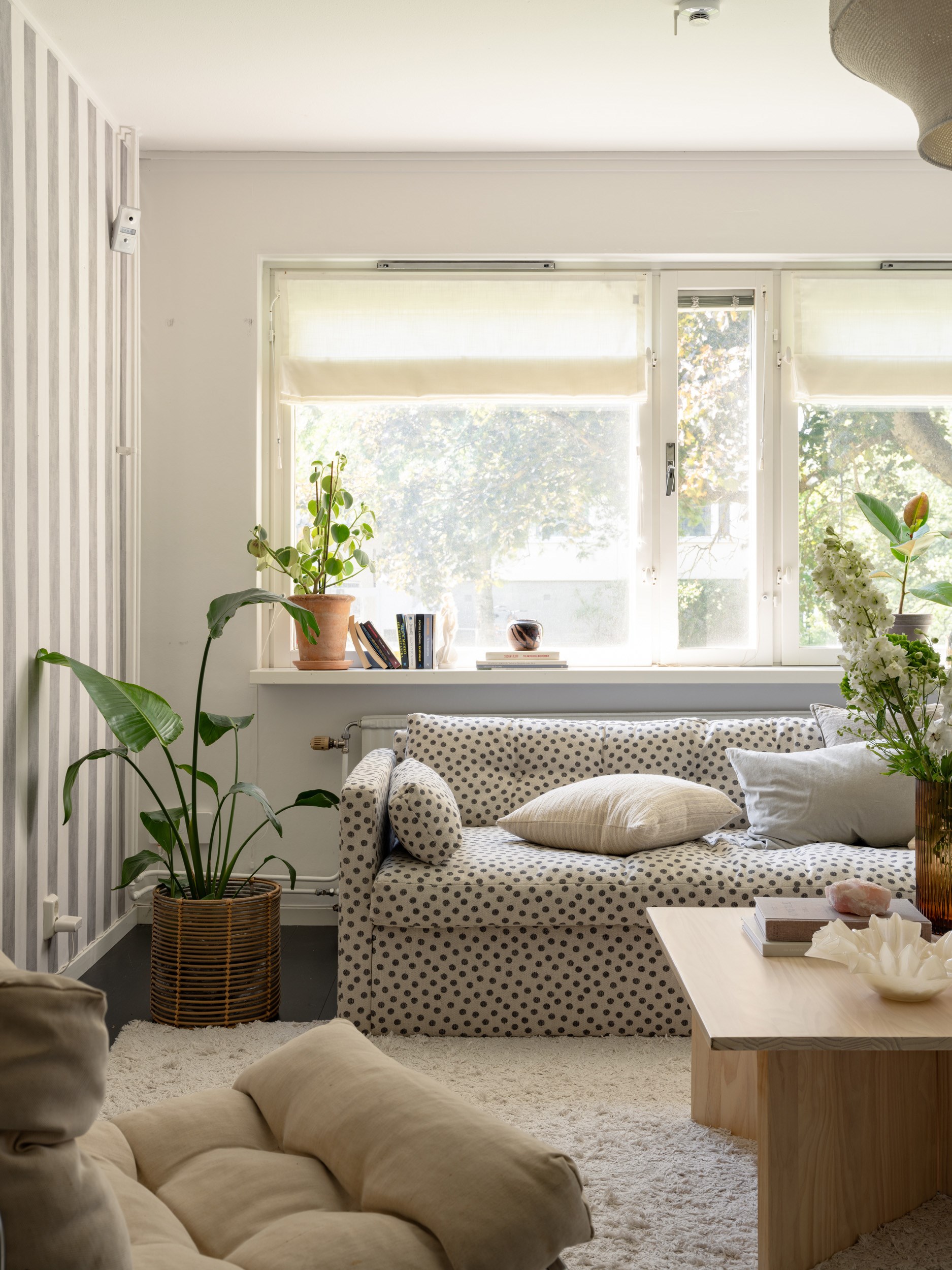 living room Scandinavian decor 44sqm studio with alcove for bed