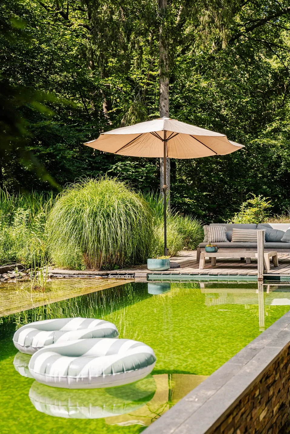 jardin avec piscine écologique et naturelle jardin avec piscine écologique et naturelle