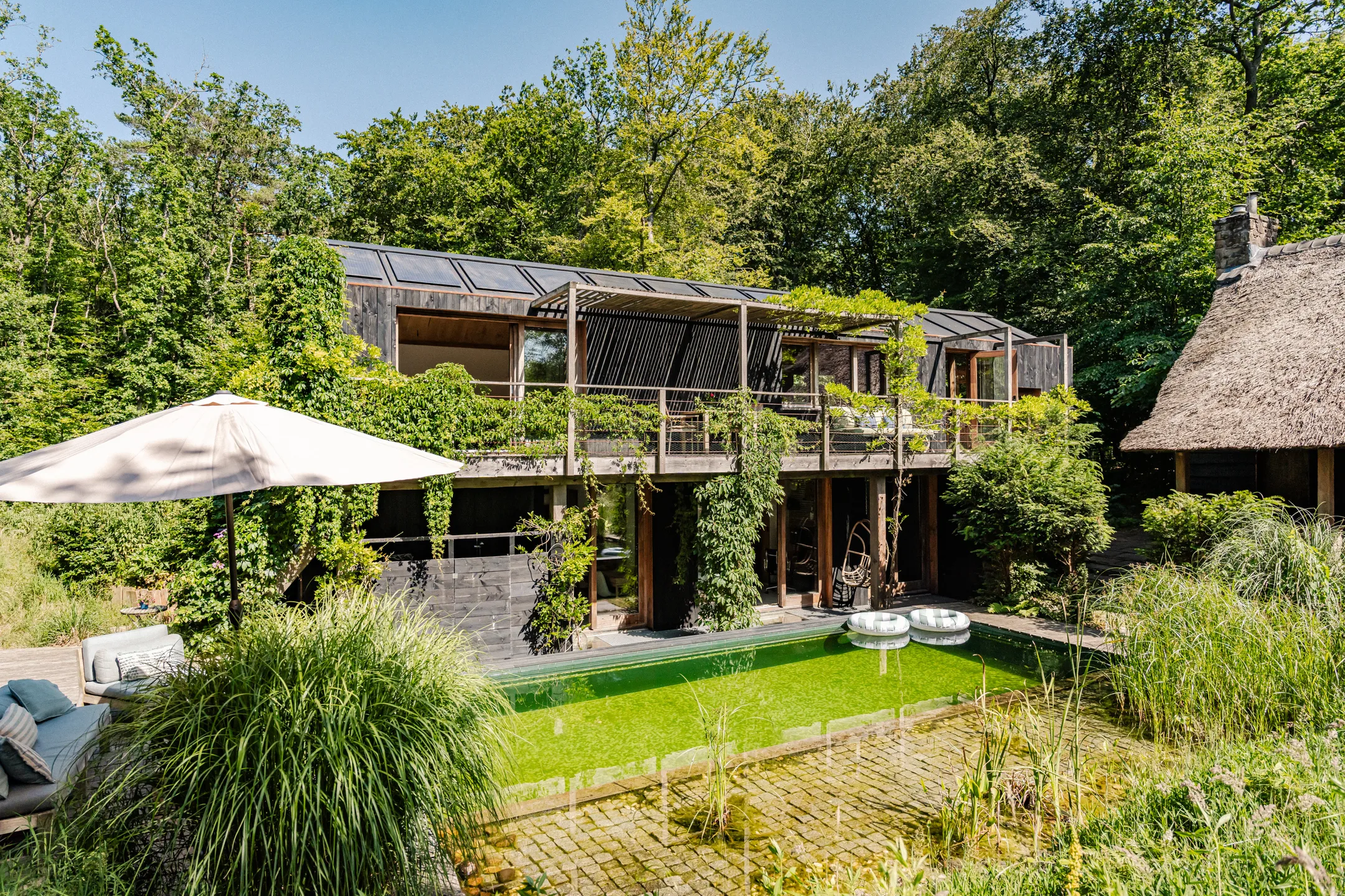 ecofriendly wooden house with ecological pool contemporary decor in the Netherlands